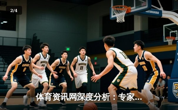 体育资讯网深度分析：专家解读 - 2