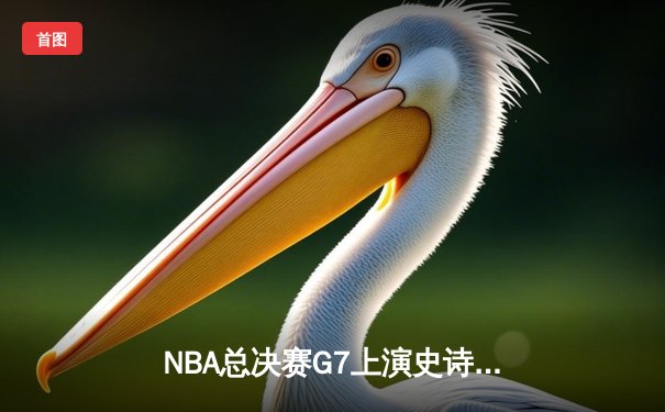 NBA总决赛G7上演史诗逆转 掘金加时险胜热火卫冕成功